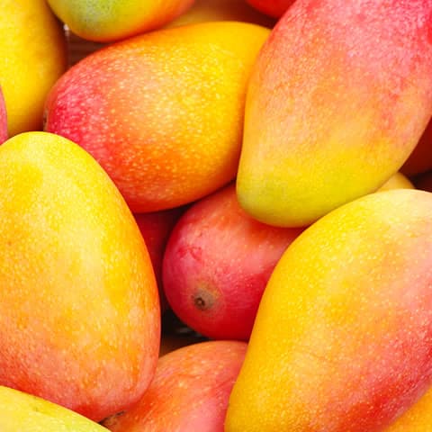 Fresh Mango