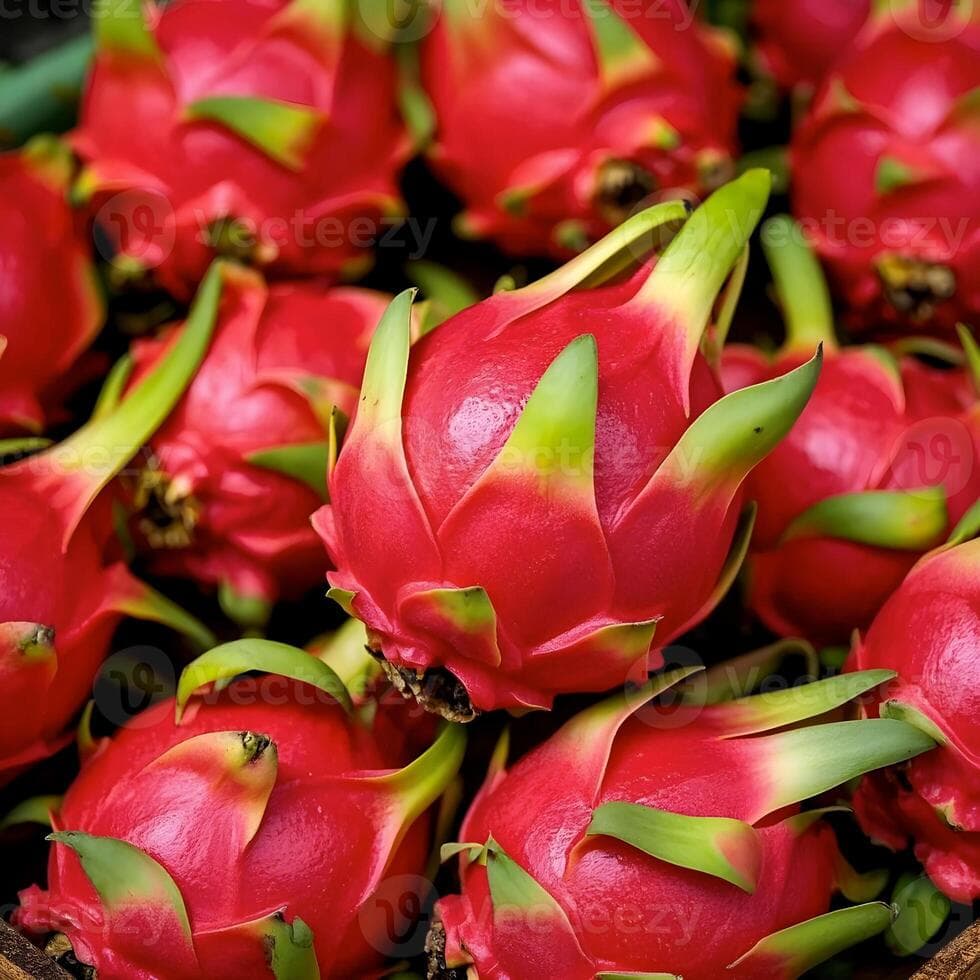 Dragon Fruit