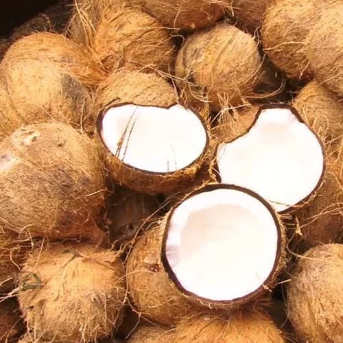 Fresh Coconut