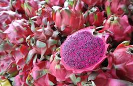 It’s time for export