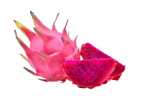 jumbo red dragon fruit-sata dragon greenx