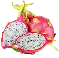 white flesh dragon fruit - sata dragon greenx